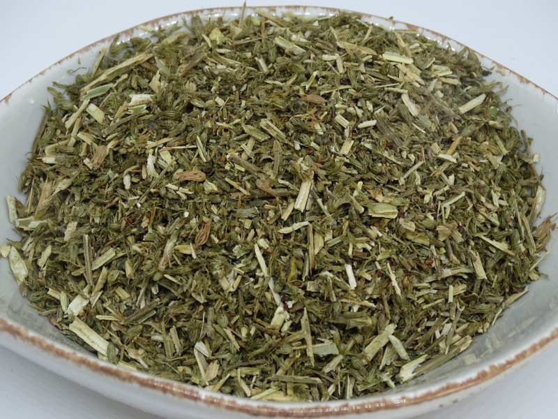 Katzenminze bio